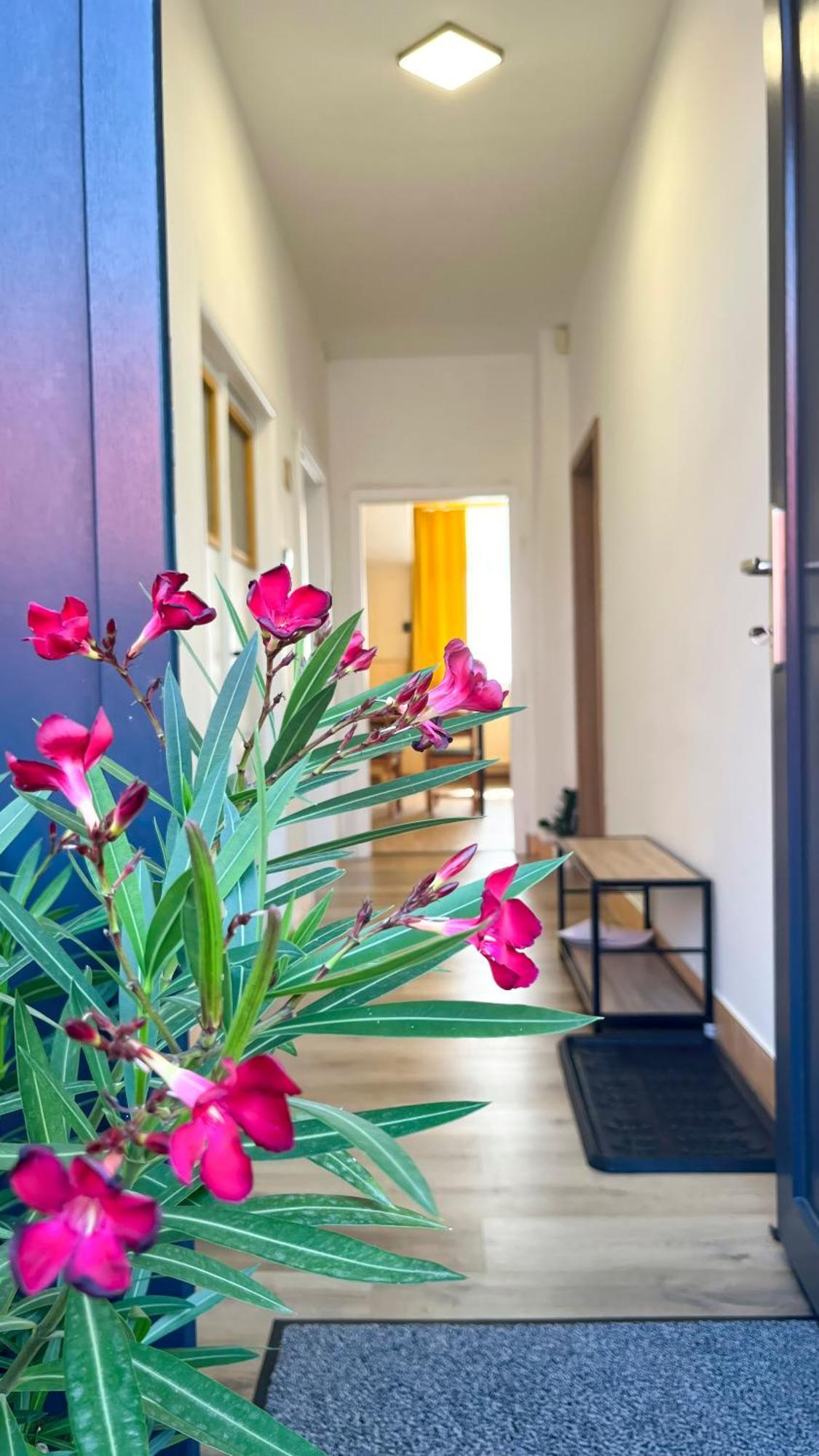 Apartmany Svrcinky Liptovský Mikuláš Buitenkant foto